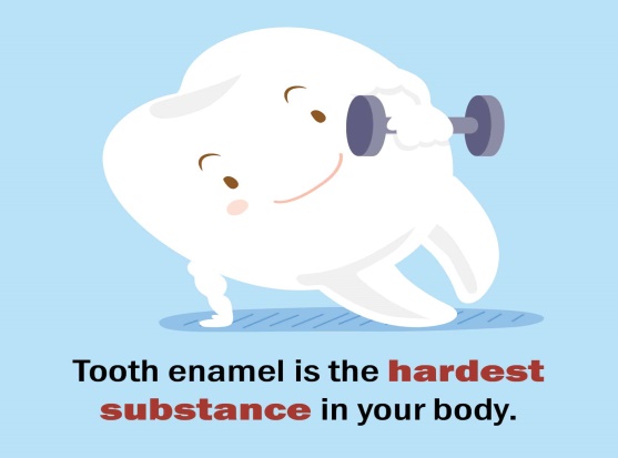 10 činjenica o vašim zubima koje verovatno niste znali